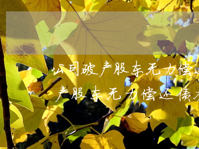 公司破产股东无力偿还债务怎么办-公司破产股东无力偿还债务怎么办理