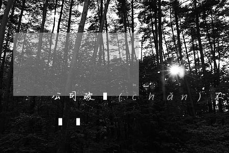 公司破產(chǎn)不簽合同員工能要賠償嗎