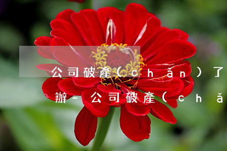公司破產(chǎn)了,欠銀行的貸款怎么辦-公司破產(chǎn)了,欠銀行的貸款怎么辦理