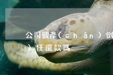 公司破產(chǎn)倒閉法人有責(zé)任還款嗎