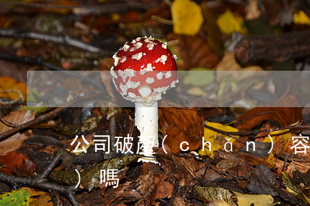 公司破產(chǎn)容易申請(qǐng)嗎