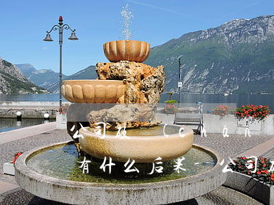 公司破產(chǎn)欠銀行貸款法人代表有什么后果-公司破產(chǎn)欠銀行貸款法人會(huì)坐牢嗎