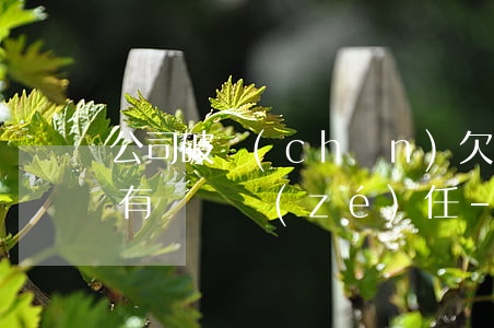 公司破產(chǎn)欠銀行貸款法人是否有連帶責(zé)任-公司破產(chǎn)欠銀行貸款法人有什么后果