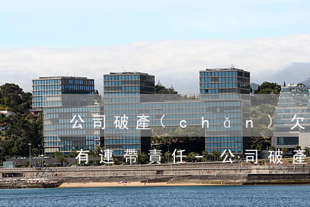 公司破產(chǎn)欠銀行貸款法人是否有連帶責任-公司破產(chǎn)欠銀行貸款法人有什么后果