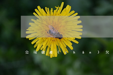 公司破產(chǎn)欠電費怎么辦