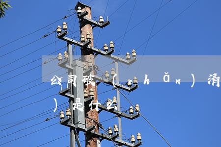 公司破產(chǎn)清算的性質(zhì)是什么