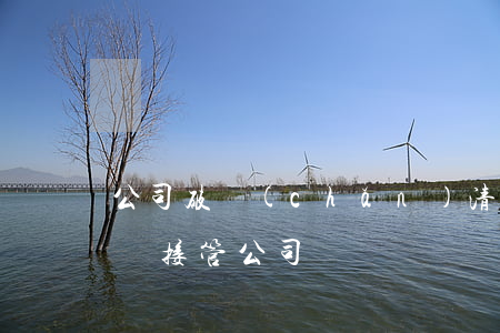 公司破產(chǎn)清算組解散程序（清算組接管公司）