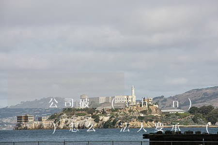 公司破產(chǎn)無力償還債務(wù)怎么辦法人要承擔(dān)-公司破產(chǎn)后沒有能力償還債務(wù)怎么辦