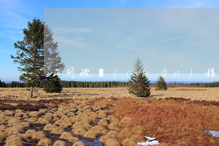 公司破產(chǎn)程序的意義