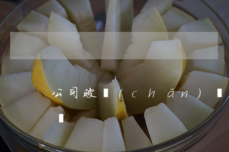 公司破產(chǎn)負債離婚要共同承擔嗎