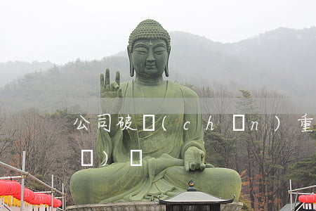 公司破產(chǎn)重組與重整的區(qū)別