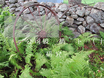 公司破產情況下環(huán)境侵權責任問題研究