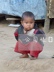 公司破產清算時的剩余資產的分配