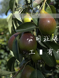 公司社保繳費(fèi)基數(shù)和工資有什么關(guān)系?