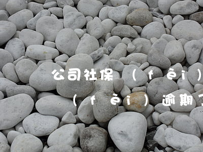 公司社保費(fèi)逾期了怎么處理(社保費(fèi)逾期了一個(gè)月怎么處理)