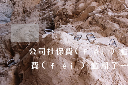公司社保費(fèi)逾期了怎么處理(社保費(fèi)逾期了一個月怎么處理)