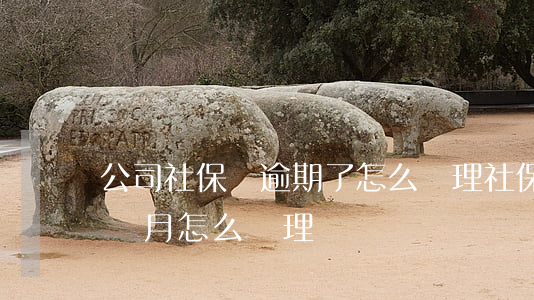 公司社保費逾期了怎么處理(社保費逾期了一個月怎么處理)