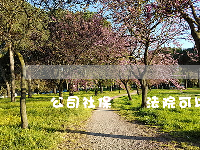 公司社保賬戶法院可以凍結(jié)嗎