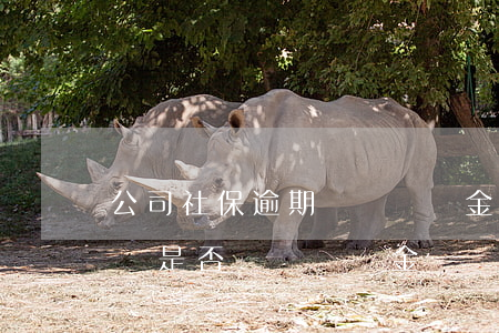 公司社保逾期繳納滯納金多少(逾期繳納社保費是否繳納滯納金)