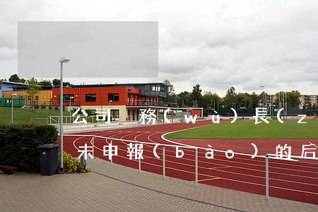 公司稅務(wù)長(zhǎng)期逾期未申報(bào)的后果-公司稅務(wù)長(zhǎng)期逾期未申報(bào)的后果是什么