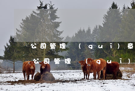 公司管理規(guī)章制度(酒業(yè)公司管理規(guī)章制度)