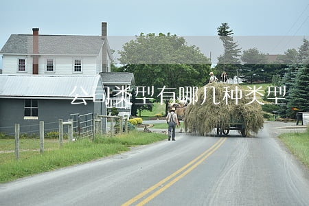 公司类型有哪几种类型