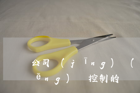公司經(jīng)濟(jì)合同風(fēng)險控制的幾個要點