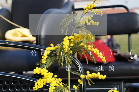 公司經(jīng)濟(jì)基礎(chǔ)決定上層建筑