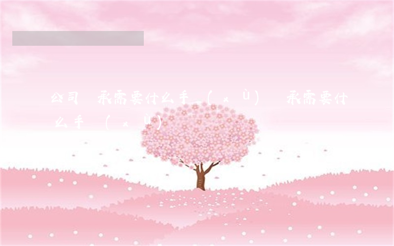 公司繼承需要什么手續(xù)(繼承需要什么手續(xù)?)