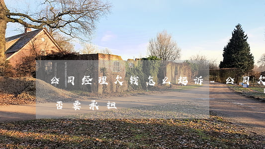 公司经理欠钱怎么起诉-公司欠薪总经理是否要承担