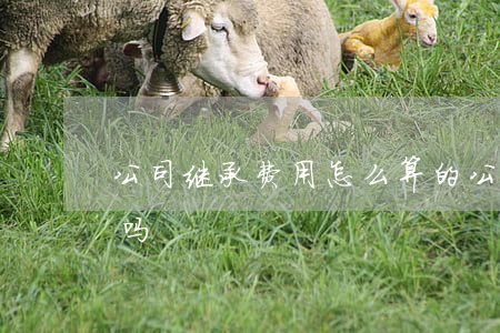 公司继承费用怎么算的(公司股份继承有费用吗?)