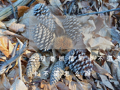 公司老板信用卡不還怎么辦(老板刷員工信用卡不還怎么辦)