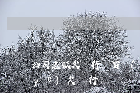 公司老板欠銀行幾百萬(wàn)-企業(yè)欠銀行