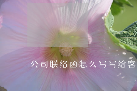 公司联络函怎么写(写给客户的联络函怎么写)