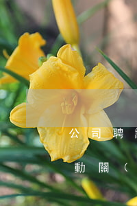 公司聘請的做飯阿姨是否構(gòu)成勞動關(guān)系？