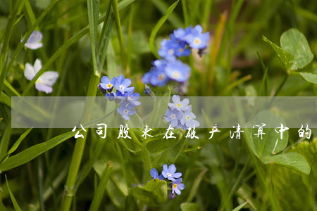 公司股东在破产清算中的义务