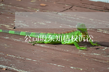 公司股东知情权诉讼