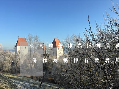 公司股份作為抵押貸款后無力償還-公司股份作為抵押貸款后無力償還怎么辦