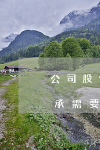 公司股份繼承要交稅嗎(股權(quán)繼承需要交個人所得稅嗎)