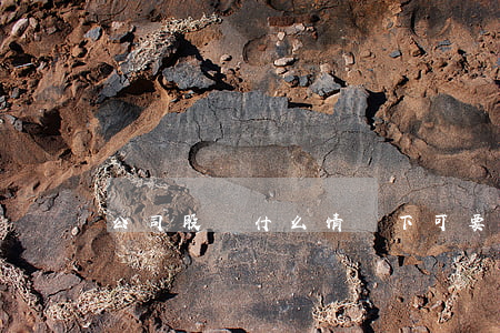 公司股東什么情況下可要求公司回購股權？