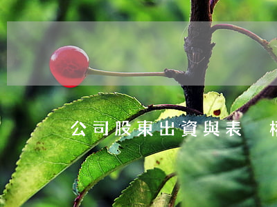 公司股東出資與表決權