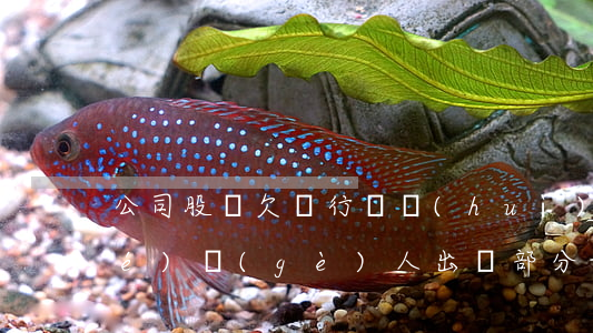 公司股東欠銀行錢會(huì)凍結(jié)個(gè)人出資部分-股東欠錢會(huì)凍結(jié)公司賬戶嗎
