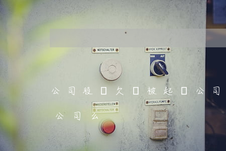 公司股東欠錢被起訴(公司股東欠錢可以起訴公司么)