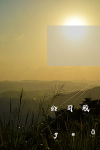 公司股權(quán)激勵糾紛中法律關(guān)系認定