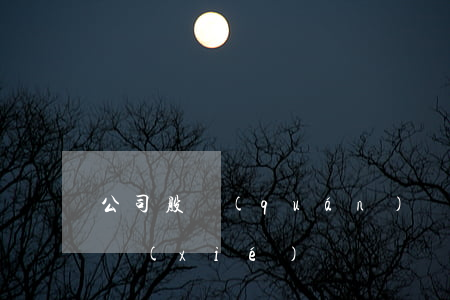 公司股權(quán)轉(zhuǎn)讓協(xié)議