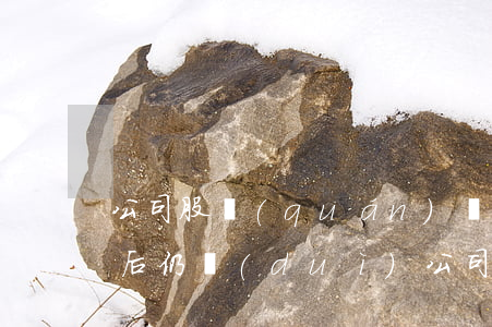 公司股權(quán)轉(zhuǎn)讓后仍對(duì)公司債務(wù)有承擔(dān)責(zé)任的情形
