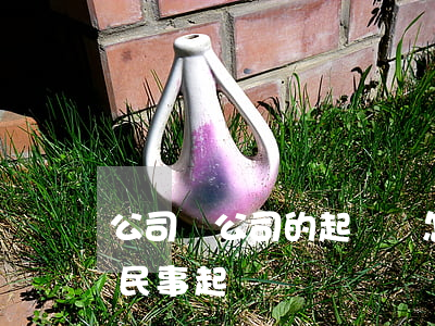 公司與公司的起訴書怎么寫(公司起訴公司的民事起訴狀)