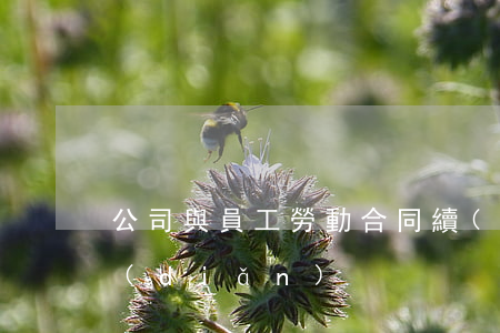 公司與員工勞動合同續(xù)簽法律要點(diǎn)
