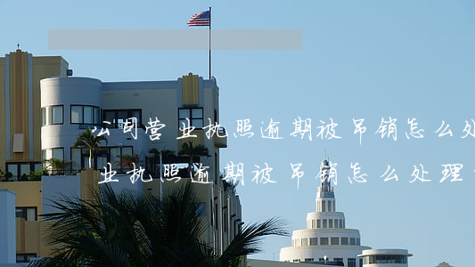 公司营业执照逾期被吊销怎么处理-公司营业执照逾期被吊销怎么处理的