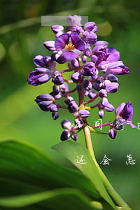 公司行政处罚无力偿还(公司行政处罚无力偿还会怎样)